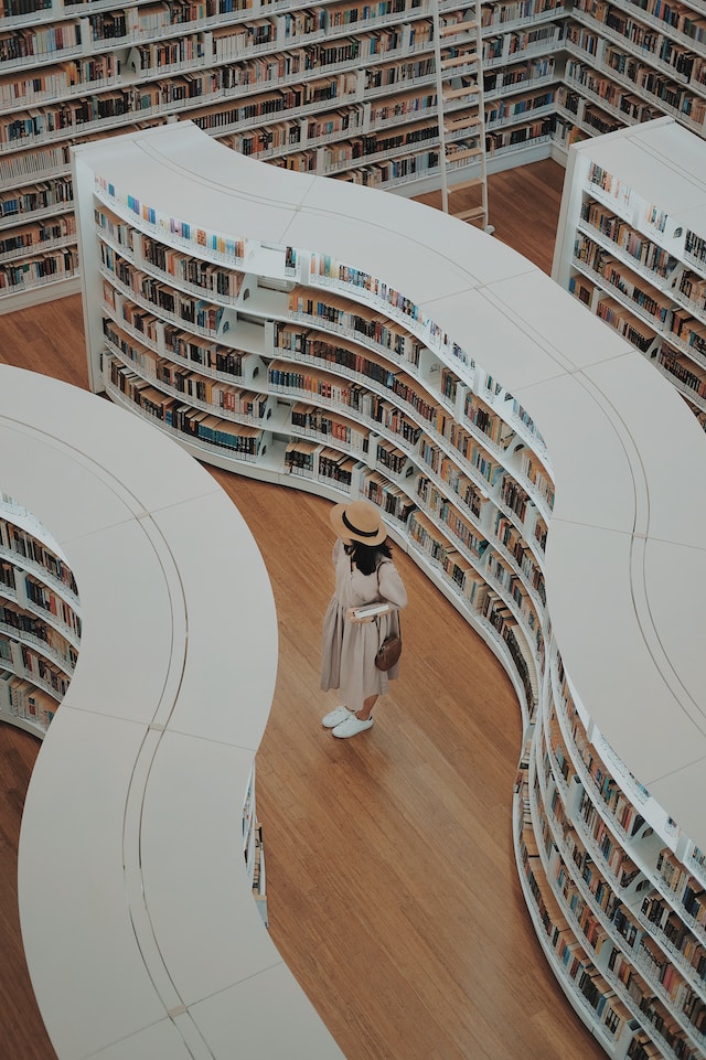 Modern library with bendy bookshelves